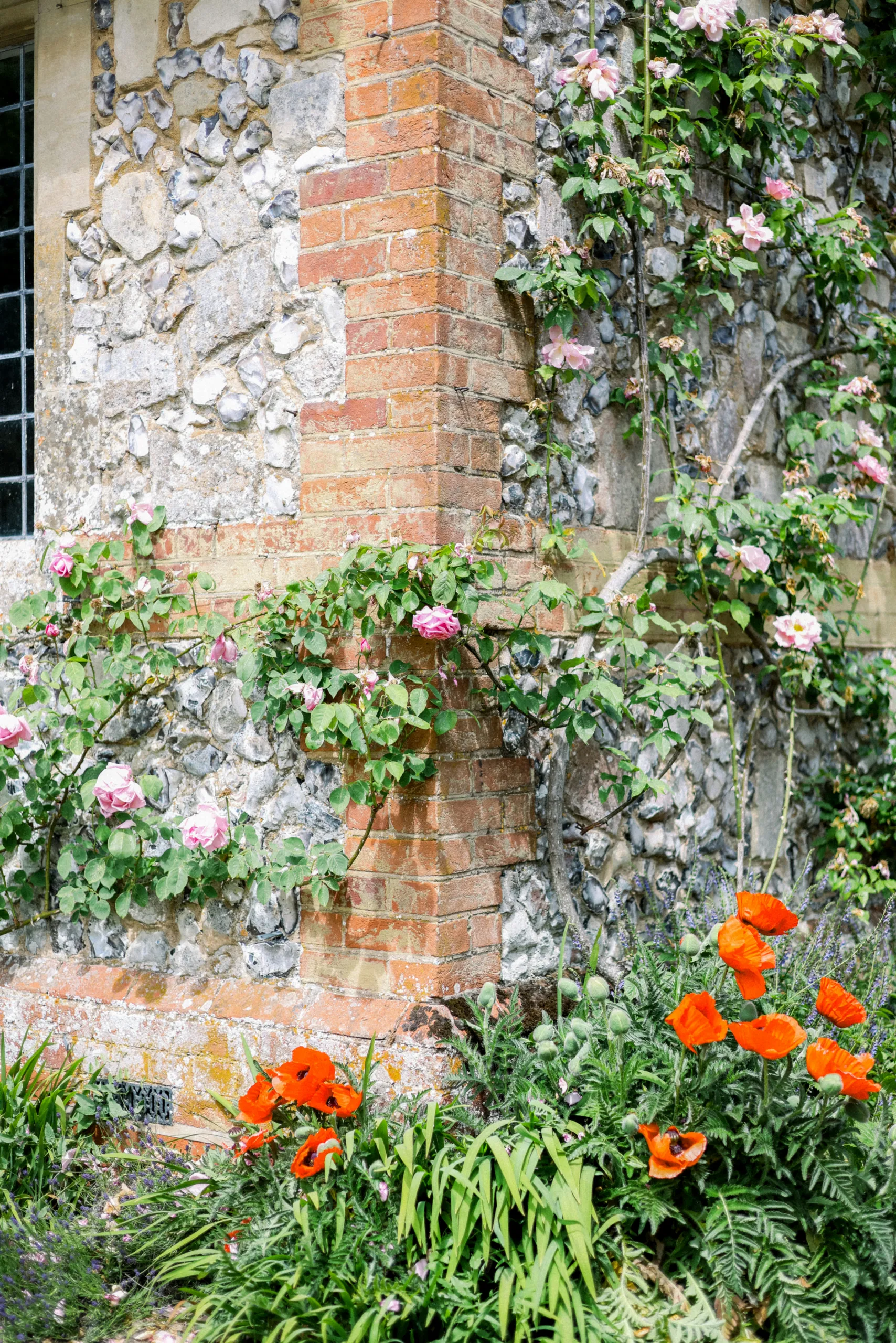 Rosas trepadoras y amapolas junto al muro de piedra de una antigua finca