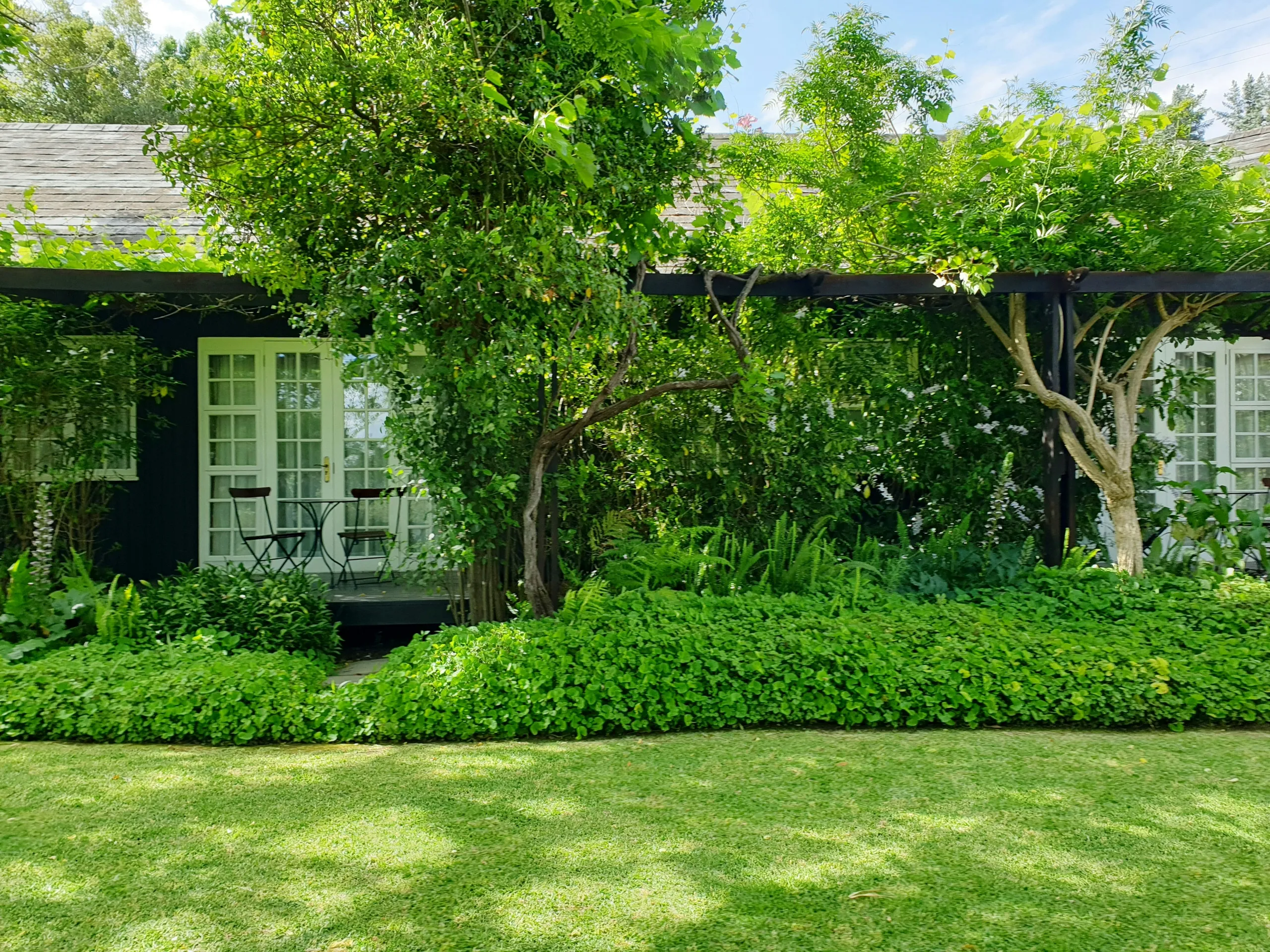 Exuberante jardín de estilo cottage con trepadoras en la pérgola y densa vegetación