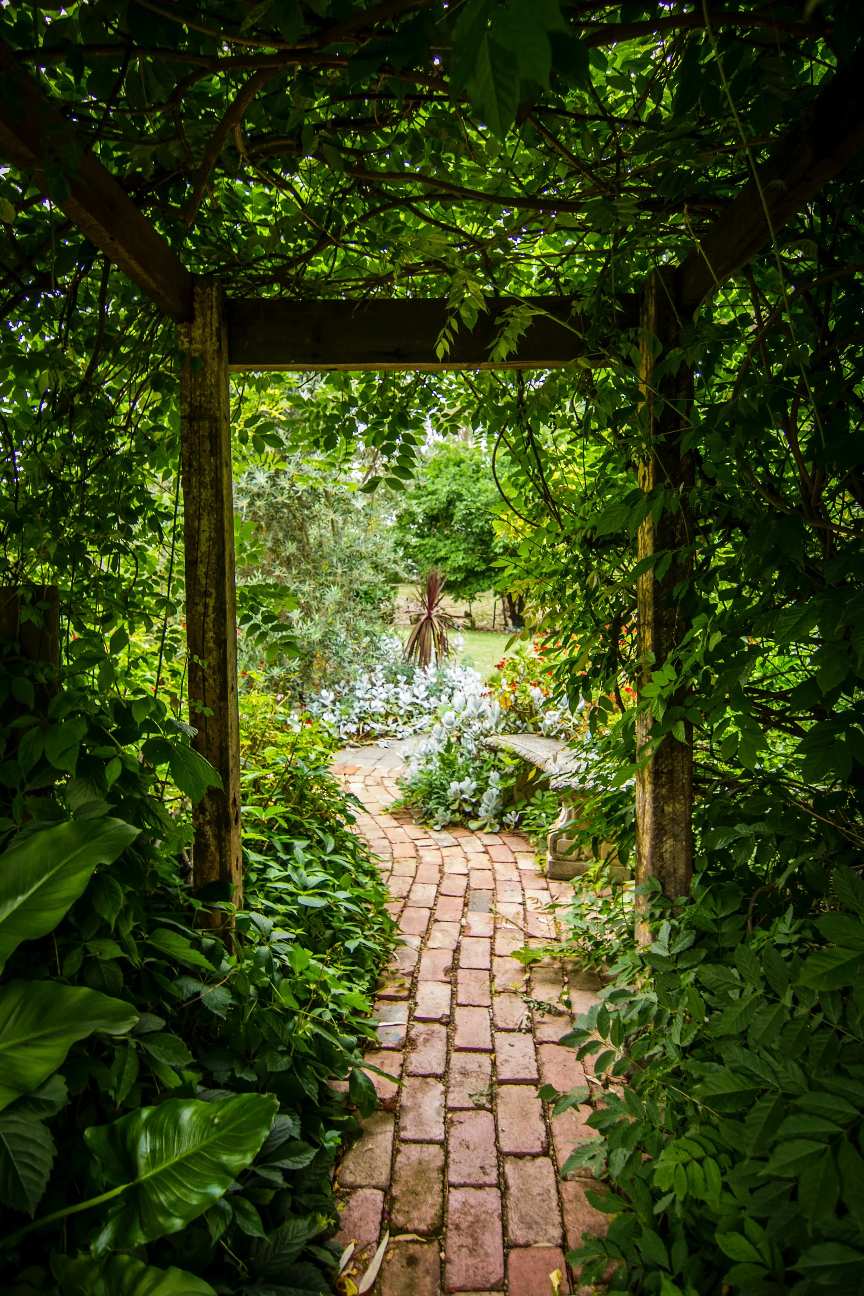 Sendero de ladrillo que atraviesa un cenador verde en un jardín exuberante