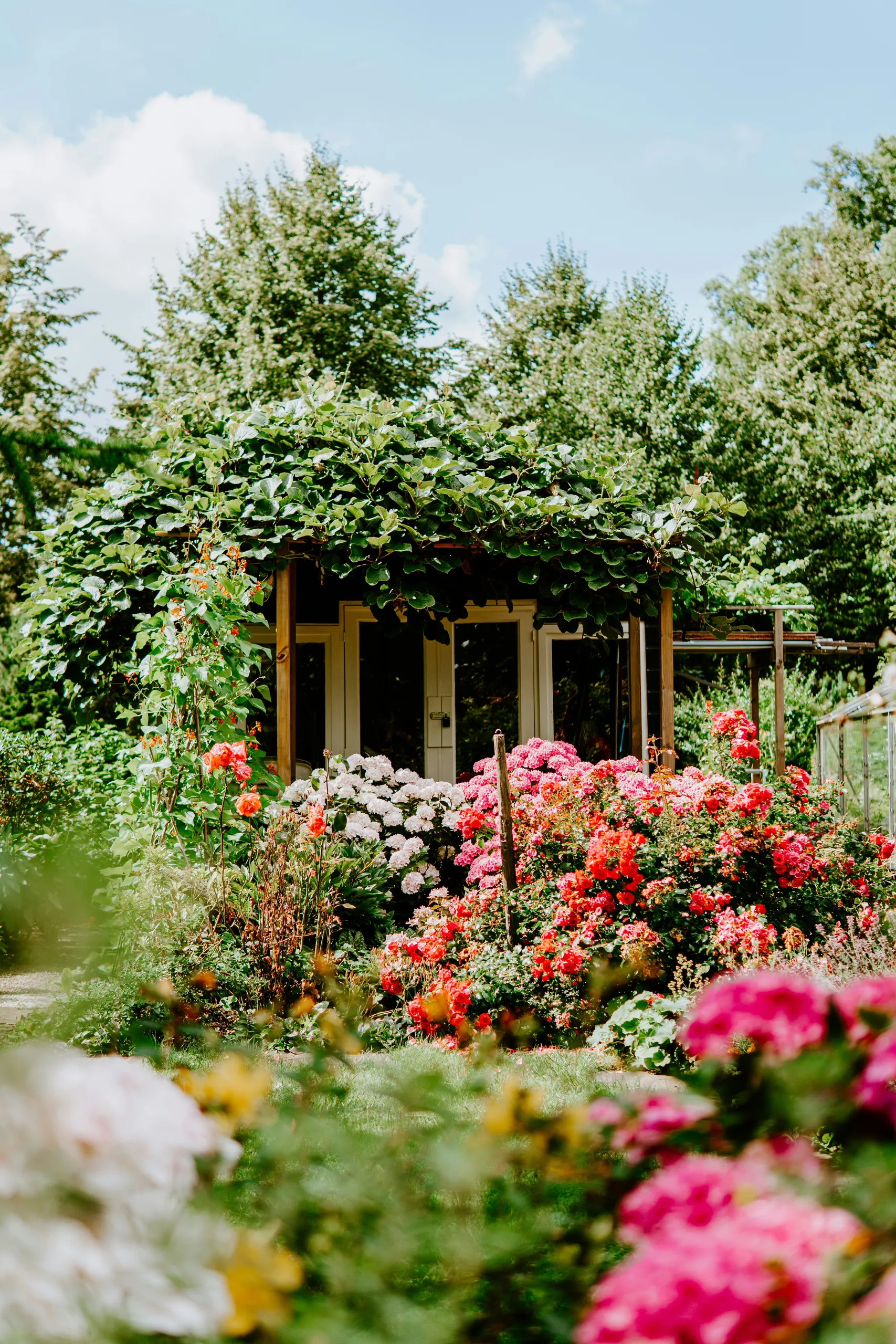Exuberante parterre de vivaces lleno de rosas en flor
